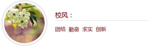 手机APP