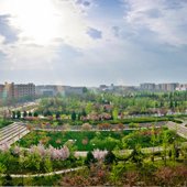 白旭东 朱文凯 李 赞 毛立强 季庆