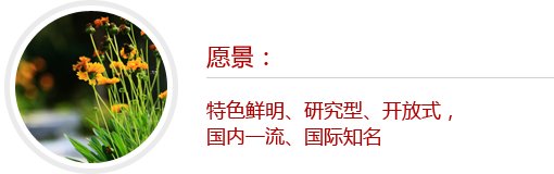 一网通办