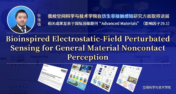 信息公开 综合信息网 教师主页